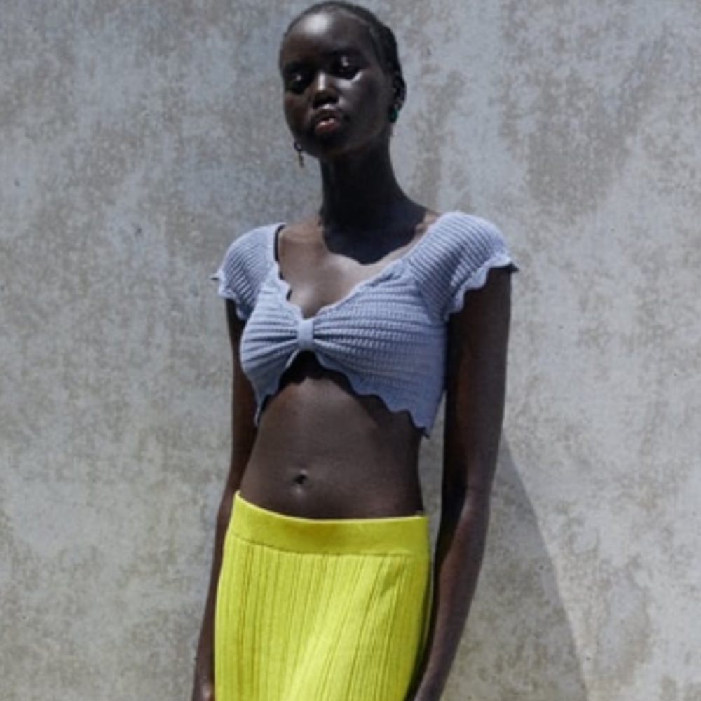 ZARA Purple Knit Cropped Top